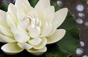 Garden Stoneware & Ornaments - Tor Stone Ltd